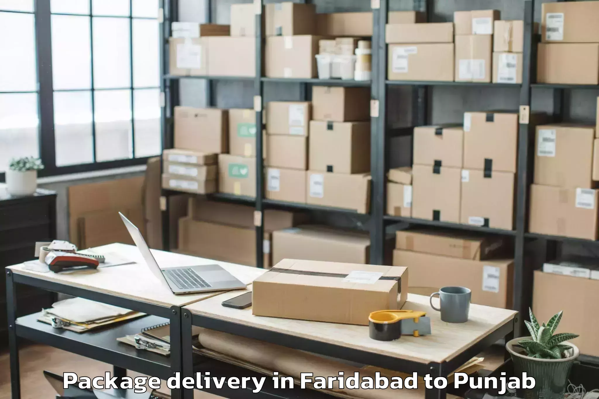 Faridabad to Bathinda Package Delivery Booking